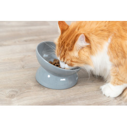 Ceramic Bowl XXL