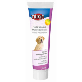 Multi-vitamin paste