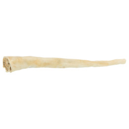 Buffalo Tail