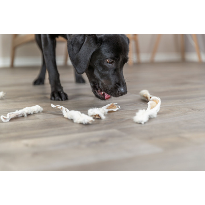 Chewing snack rabbit ears with fur for dogs