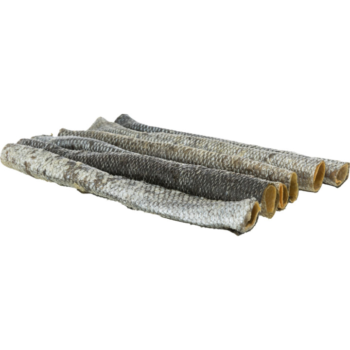 Salmon skin