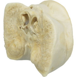 Pig Snout, bulk
