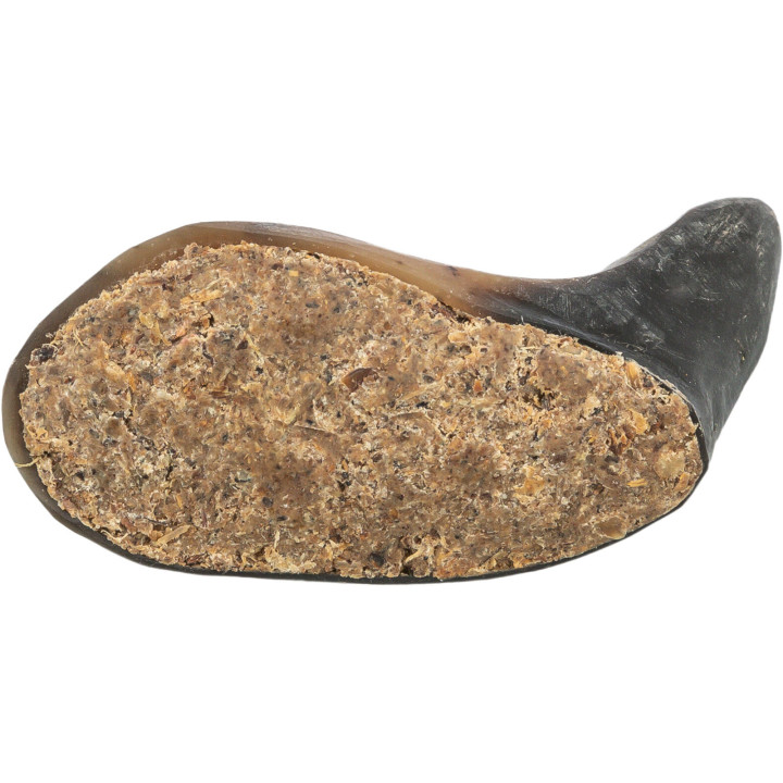 Buffalo Horn filled with buffalo pizzle and tendon