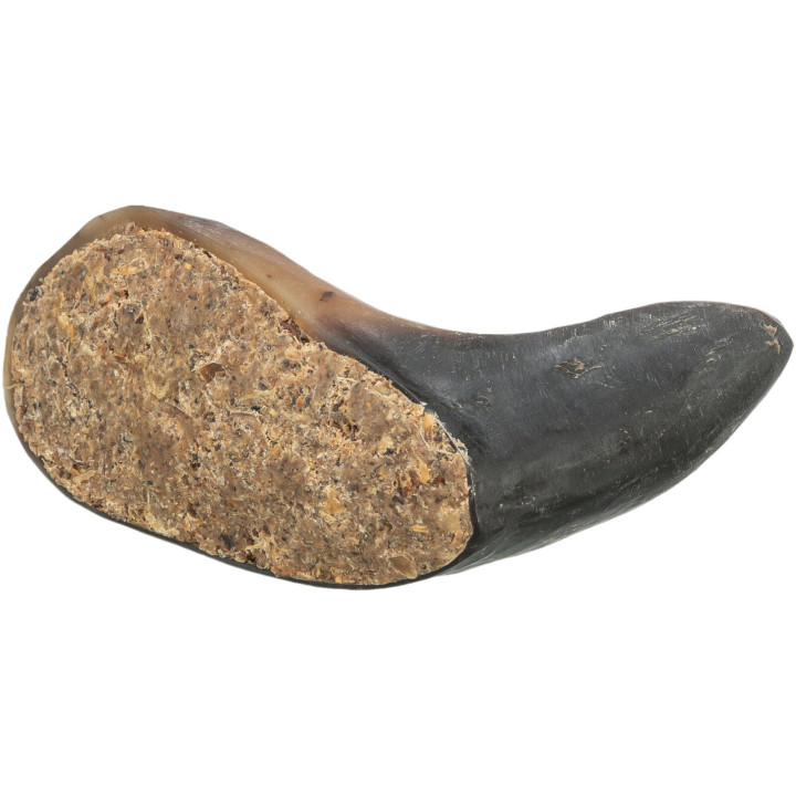 Buffalo Horn filled with buffalo pizzle and tendon
