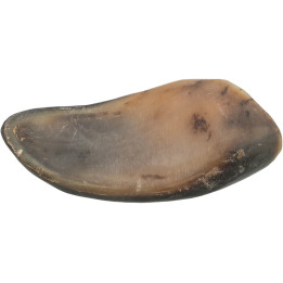 Buffalo Horn filled with buffalo pizzle and tendon