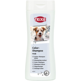 Colour Shampoo