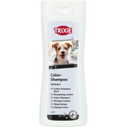 Colour Shampoo